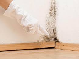 Best Mold Remediation for Healthcare Facilities  in Southside, AL